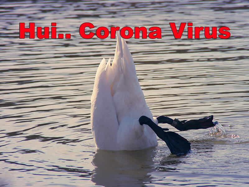 Corona Virus und die Welt steht still